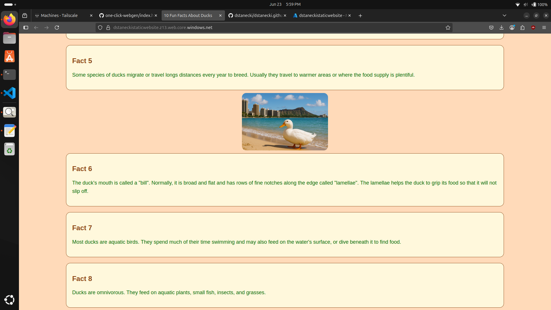 hawaii-themed-duck-site.png